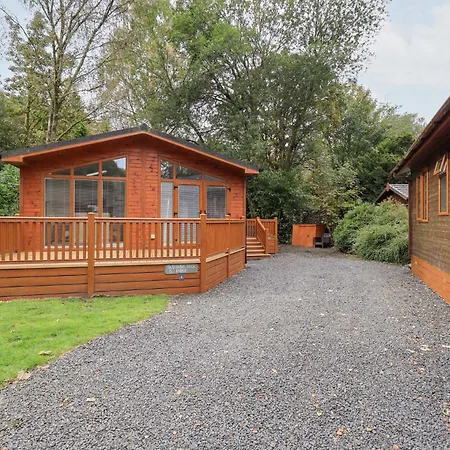 Laughing Duck Windermere