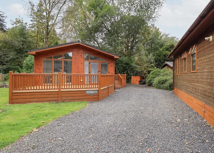 Laughing Duck Windermere